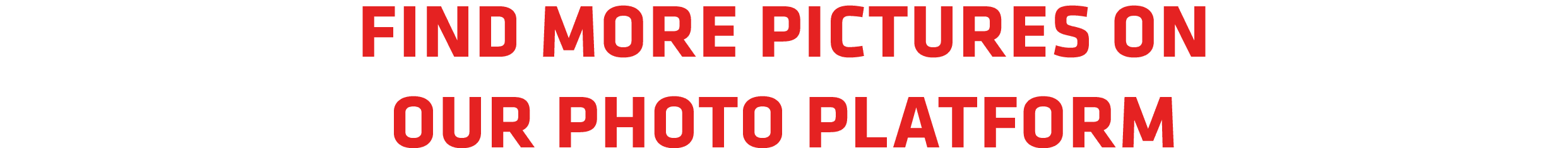 Find more pictures on our photo platform